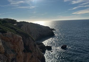 Percorso Marcia Saint-Cyr-sur-Mer - Port d Alon - Photo