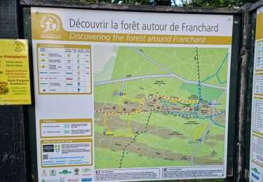 Randonnée Marche Fontainebleau - Sentier Denecourt 7 - Photo