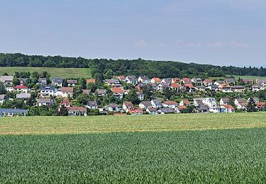 Trail On foot Idstein - Eschenhahner Runde - Photo