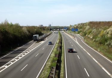 Randonnée A pied Kerpen - Kerpen Rundweg K3 - Photo