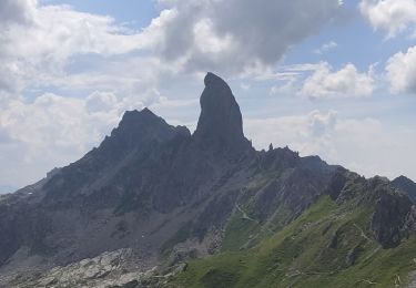 Tocht Stappen Beaufort - Pierra Menta - Photo