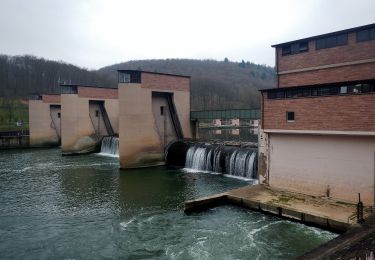 Tocht Te voet Neckargerach - Mittelberg-Weg - Photo