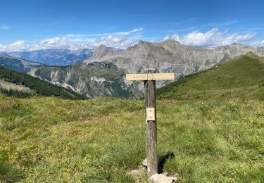 Tocht Stappen Uvernet-Fours - Le col du Talon - Photo