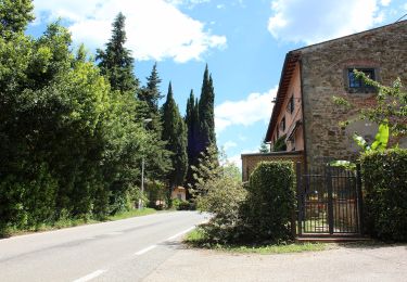 Tocht Te voet Greve in Chianti - Anello di Cintoia - Photo