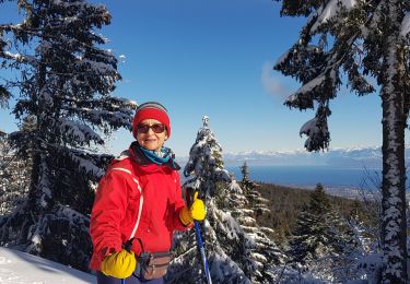 Excursión Esquí de fondo Mijoux - noire - Photo