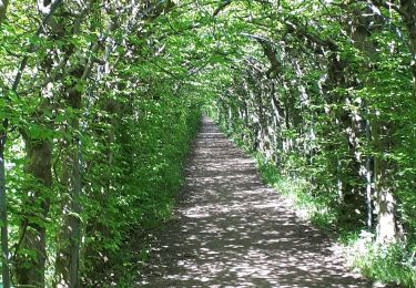 Tocht Fietstoerisme Spa - Ravel geronstere desnie - Photo