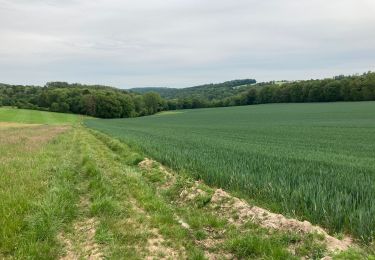 Randonnée Marche Yvoir - Durnal / 2020-05-22 / 12 km - Photo