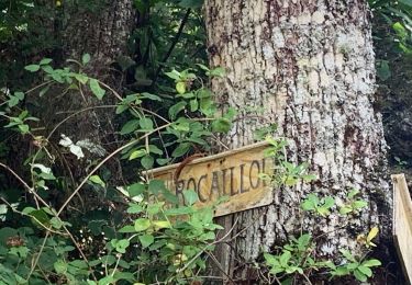 Trail Walking Castelnau-Pégayrols - 2021-09-05 Sahut -Col de Poulzinières - Photo