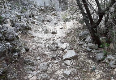 Trail Walking Bédoin - BEDOIN , combe obscure , belvédèrre , pré michel - Photo