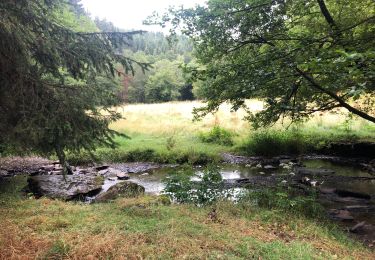 Tour Wandern Hohenfels - Achouffe -rondje Achouffe5 - Photo