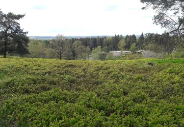 Tour Zu Fuß Meezen - Wanderroute Waldhütten - Photo