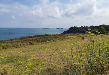 Trail Walking Cancale - Cancale saussaye pointe grouin - Photo