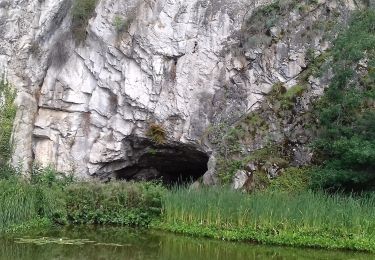 Tour Zu Fuß Durbuy - Chemin Touristique (20) - Photo