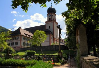 Tour Zu Fuß Münstertal/Schwarzwald - Breitackerpfad - Photo