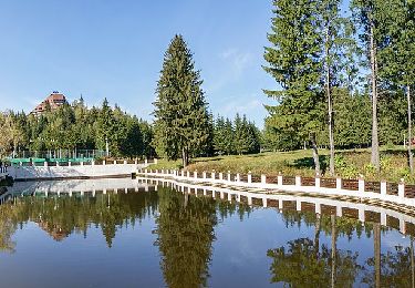 Trail On foot Brasov - Poiana Brașov - Padina Lăutei - Cabana Postăvaru - Photo