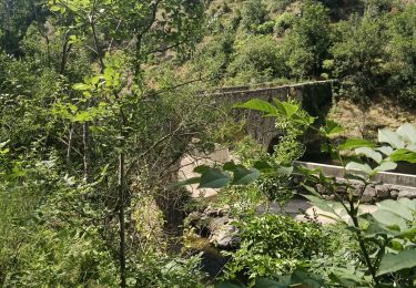 Percorso Corsa a piedi Quintenas - roche Péréandre, pont suspendu circuit  - Photo