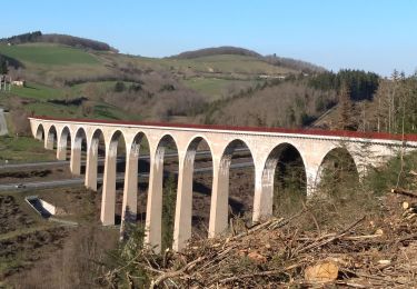 Trail Walking Bussières - bussières  montcellier viaduc pont marteau bussières v14km - Photo