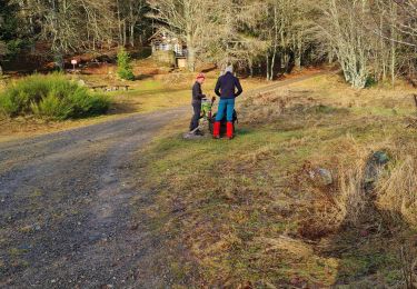 Tour Wandern Rimbach bei Gebweiler - Rando avec Omar et Slimane..29/12/2021 - Photo