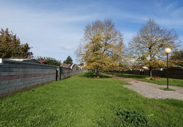 Tour Zu Fuß Figline e Incisa Valdarno - Anello del Forestello - Photo