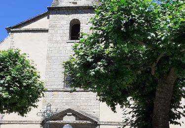 Tour Wandern Saint-Jean-du-Bruel - ST JEAN DE BRUEL CHATEAU D ALGUE  - Photo