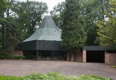 Tour Zu Fuß Haltern am See - Sundern Rundweg A9 - Photo