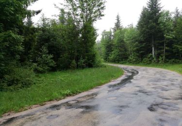 Tocht Stappen Les Hôpitaux-Vieux - prusse - Photo