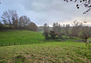 Tocht Stappen Blegny - Les pieds dans l'eau (BLEGNY)  - Photo