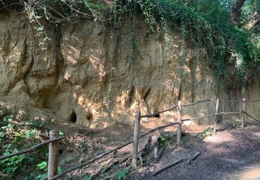 Tour Wandern Sint-Truiden - Le site géologique d'Engelmanshoven - Photo