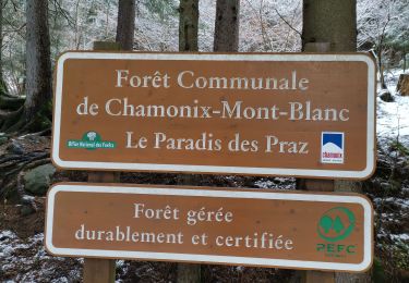 Tocht Stappen Chamonix-Mont-Blanc - CHAMONIX... depuis les Praz vers Argentière. - Photo