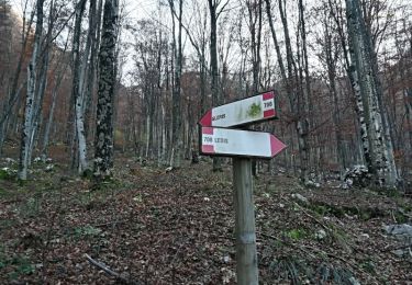 Trail On foot Venzone - IT-704 - Photo