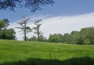 Randonnée Marche Pechbonnieu - Bellevue - Photo