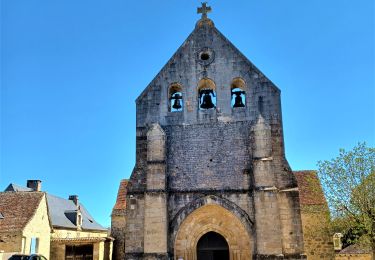 Tour Wandern Sainte-Orse - Boucle Taille petit variante  - Photo