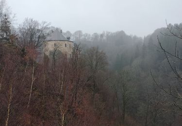 Tocht Stappen Waimes - Autour du château de Reinhardstein - Version courte - Photo