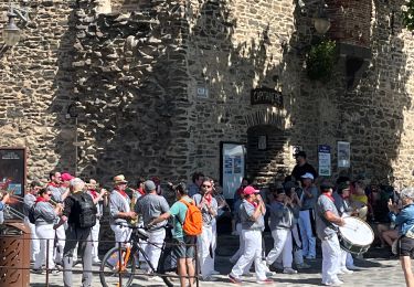 Tocht sport Argelès-sur-Mer - 20240601 Racou - St Elme (fort) - Photo