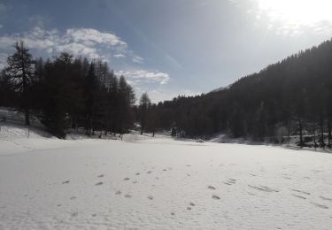 Trail Snowshoes Montricher-Albanne - Albanne - Prario -la Plagne - le Belvedere - Photo