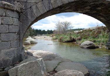 Randonnée A pied Vialas - Au long du Tarn: de Mas de la Barque à Pont de Montvert - Photo