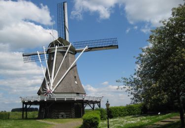 Randonnée A pied Kampen - WNW IJsseldelta - d'Olde Zwarver - paarse route - Photo