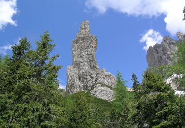 Trail On foot Pieve di Cadore - IT-389 - Photo