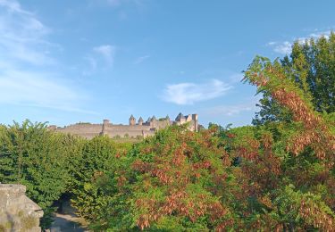 Tocht Stappen Carcassonne - carcassonne under the sun  - Photo
