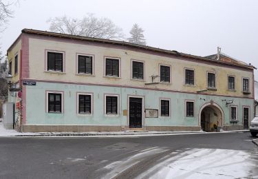 Percorso A piedi Sconosciuto - Stadtwanderweg 2 - Hermannskogel - Photo