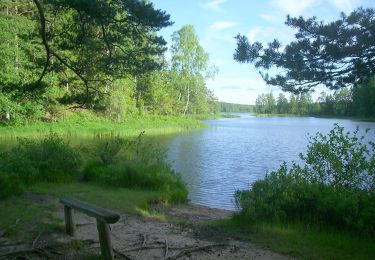 Randonnée A pied  - Järnbärarleden - Photo