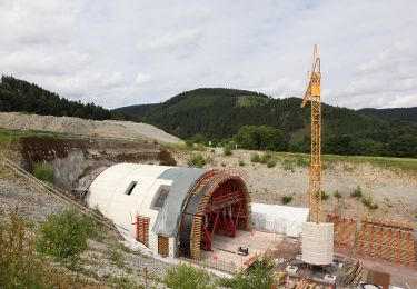 Randonnée A pied Schalkau - Rundwanderweg Truckenthal 5 - Photo