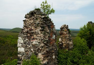 Percorso A piedi Buják - Bujáki Erdészeti Tanösvény - Photo