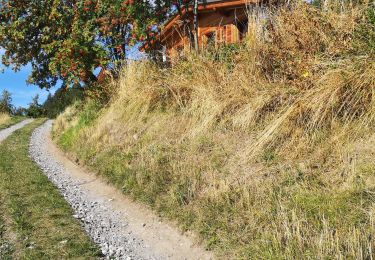 Tocht Noords wandelen Arbaz - le pertou  - Photo