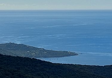 Tour Wandern Coti-Chiavari - rando des crêtes Coti Chjavari - Photo