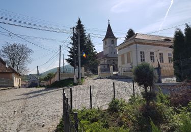 Percorso A piedi Sconosciuto - Turnu Roșu - Dl. Frasinul - Culmea Pietriceaua (traseul CR) - Photo