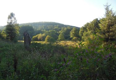 Randonnée A pied Meisenthal - Disque jaune - Photo