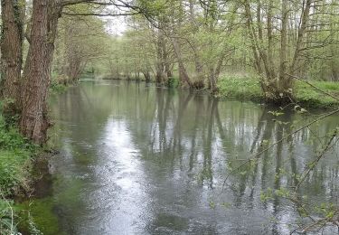 Trail Walking Bouvaincourt-sur-Bresle - Bouvaincour le Font de Lille  - Photo