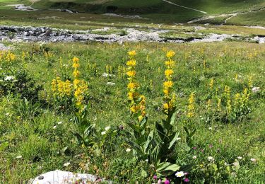 Tour Wandern Beaufort - La gitane 29-08-2021 - Photo