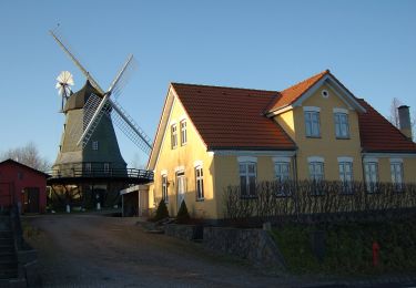 Percorso A piedi  - Tokeskovstien - Photo